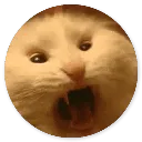 Emoji 60_Cat2
