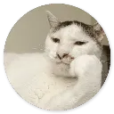 Emoji 60_Cat3