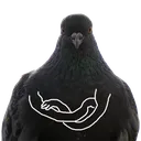Emoji 6_Pigeon1