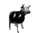 Emoji PolishCow