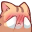 Emoji zzembarrassed