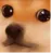 Emoji woof