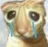 Emoji cat_crying