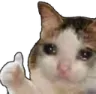 Emoji oky