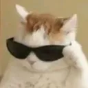 Emoji catglasses