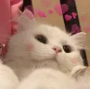 Emoji cuty