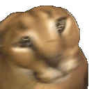 Emoji FloopaDance