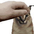 Emoji Floopatte