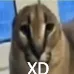 Emoji XD